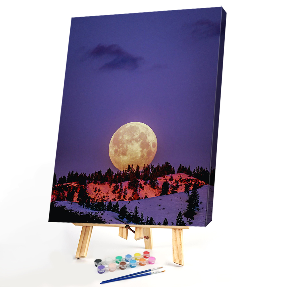 

40*50CM - Paint By Numbers - Moon, 501 Original