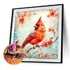 Cardinal Sur Branche-Foret AB Rond Peinture Diamant-45*45CM