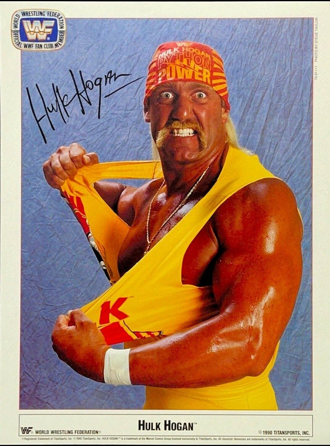 WWE HULK HOGAN 1990 OFFICIAL LICENSED 8.5X11 ORIGINAL FACSIMILE PROMO Photo Poster painting 4