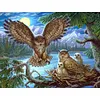 Diamond Painting -DIY Round Drill Bird Family