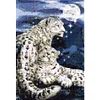 Leopard - 9CT Full Beaded Cross Stitch Kit(40x59cm)