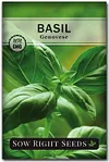 5 Herb Seeds Mix Package Collection Genovese Basil, Chives, Cilantro, Italian Parsley, and Oregano Seeds