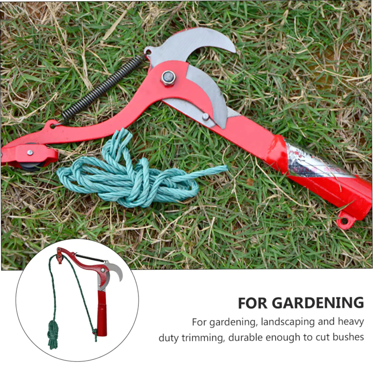 High Branch Scissors With Rope Fruit Picker