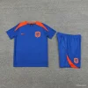 2025 Netherlands Blue Short-Sleeve Training Kit