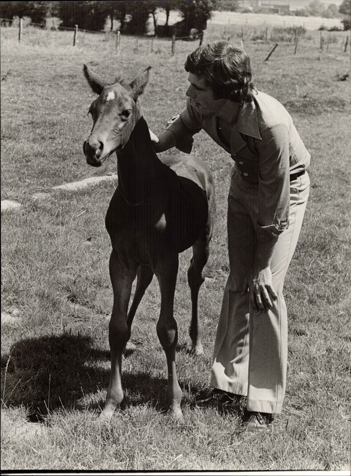 Heintje With Foal - Vintage Press Photo Poster painting Norbert Unfried (U-4147