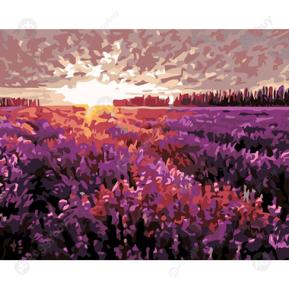 

40*50CM Paint By Numbers-Lavender, 501 Original