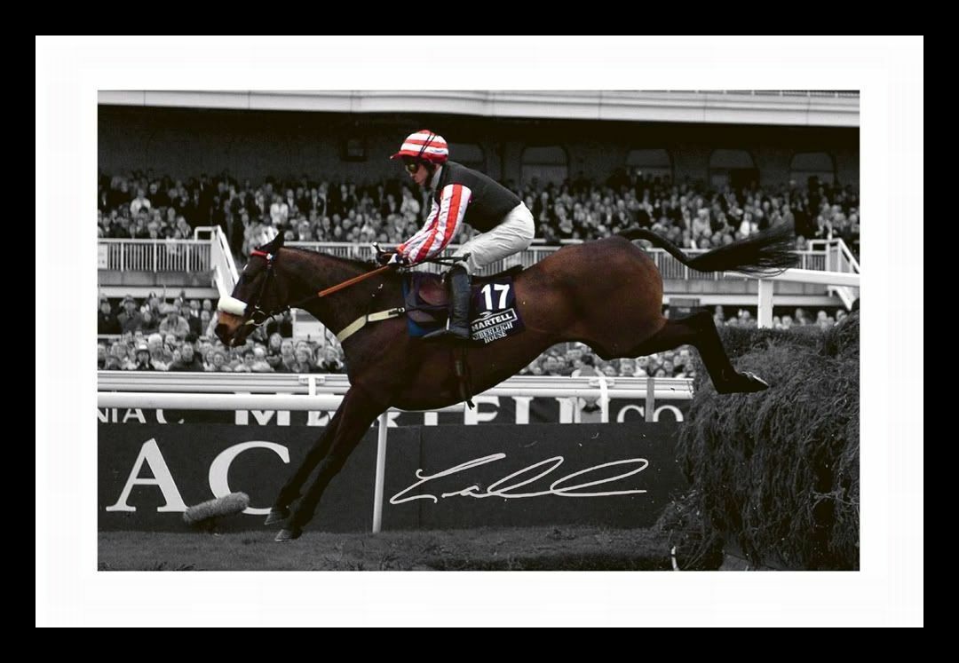 Graham Lee - Amberleigh House 04 Grand National Signed & Framed Photo Poster painting