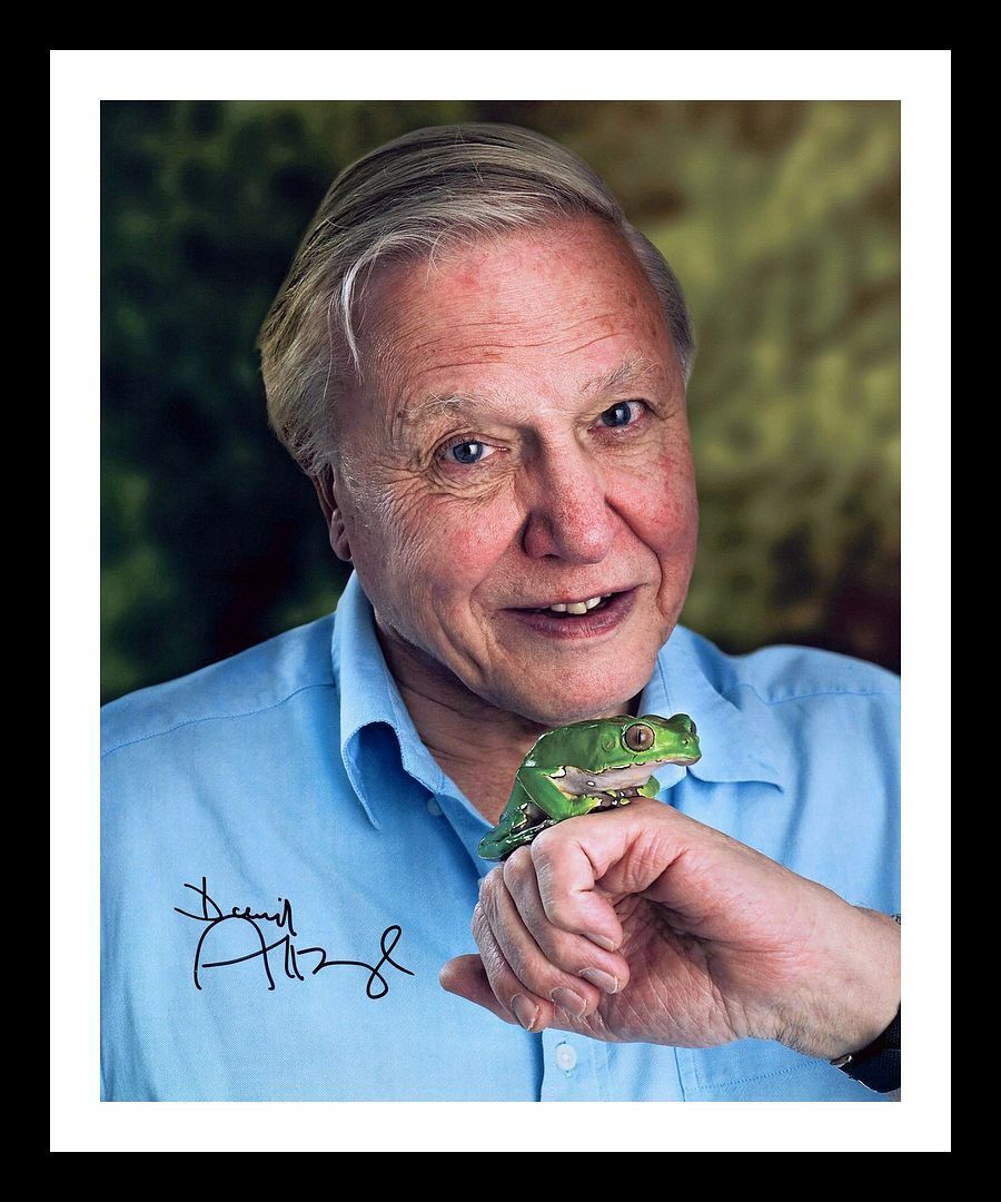 Sir David Attenborough Autographed Signed & Framed Photo Poster painting 1