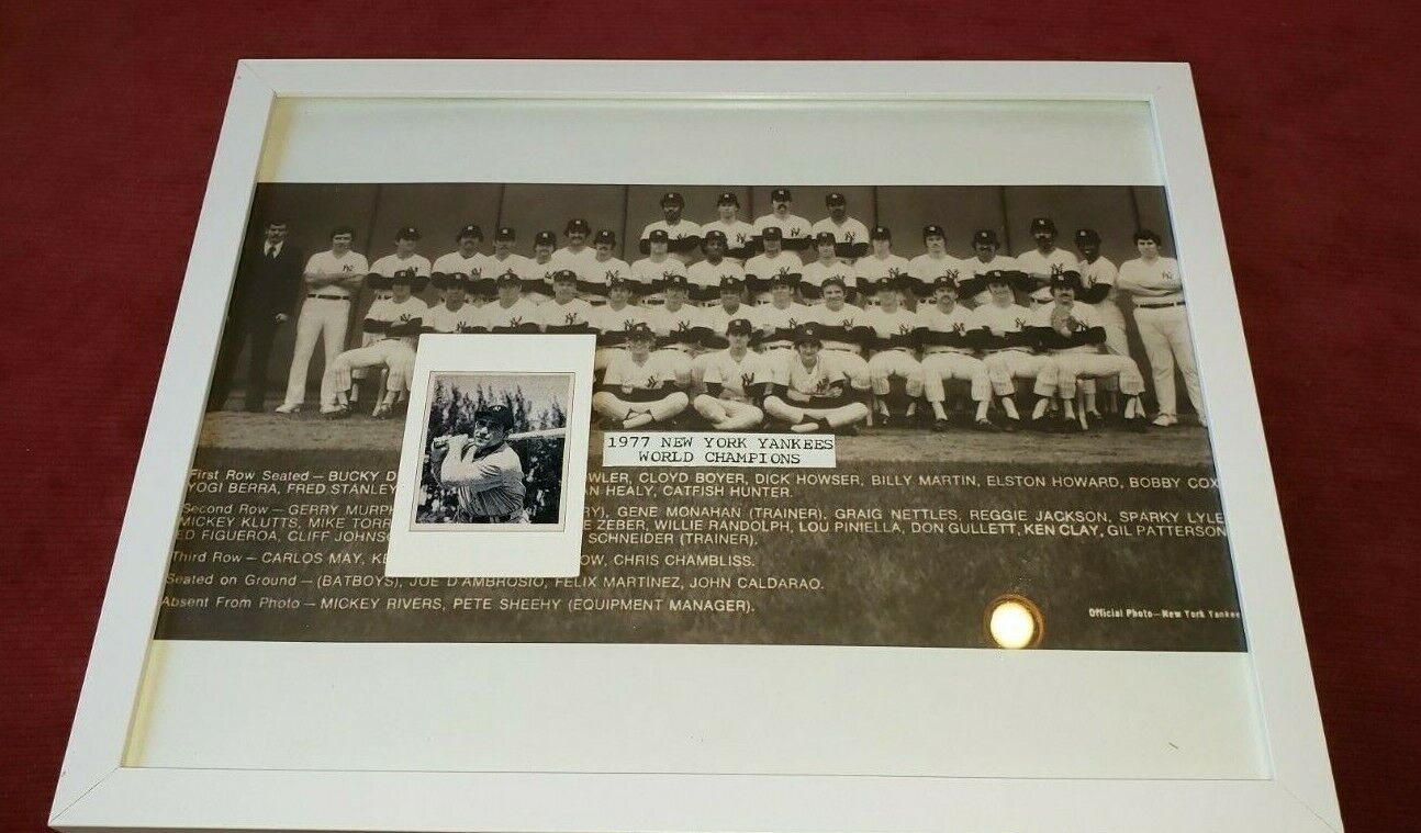 Framed 1977 New York Yankees 11x14 Team Photo Poster painting Poster + 1989 BOWMAN YOGI BERRA Cd