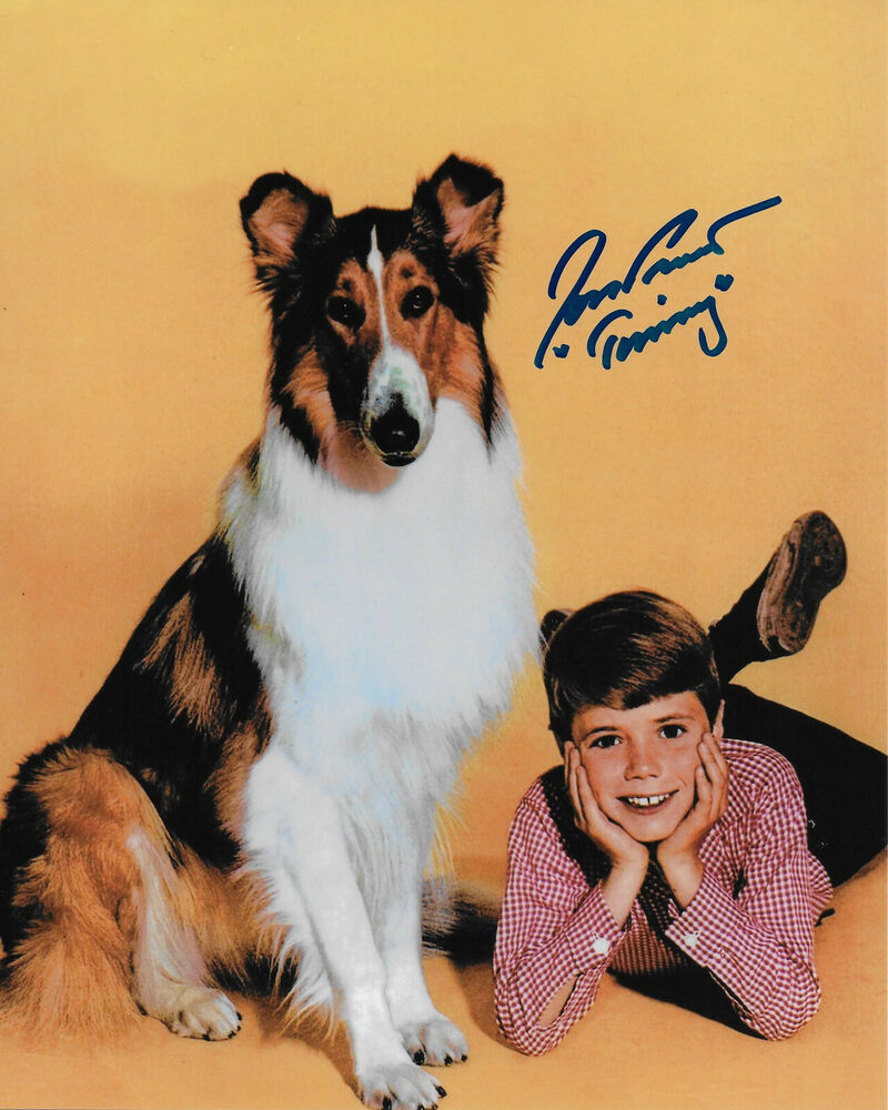 Jon Provost Lassie Original Autographed 8X10 Photo Poster painting #18