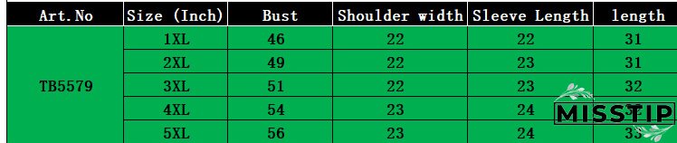 Plus Size Women Embroidered Long Sleeve Shirt