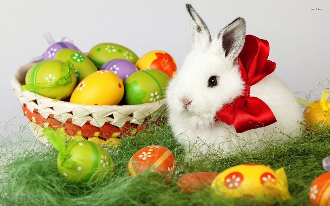 Easter Bunny Deciding Where to Hide His Easter Eggs