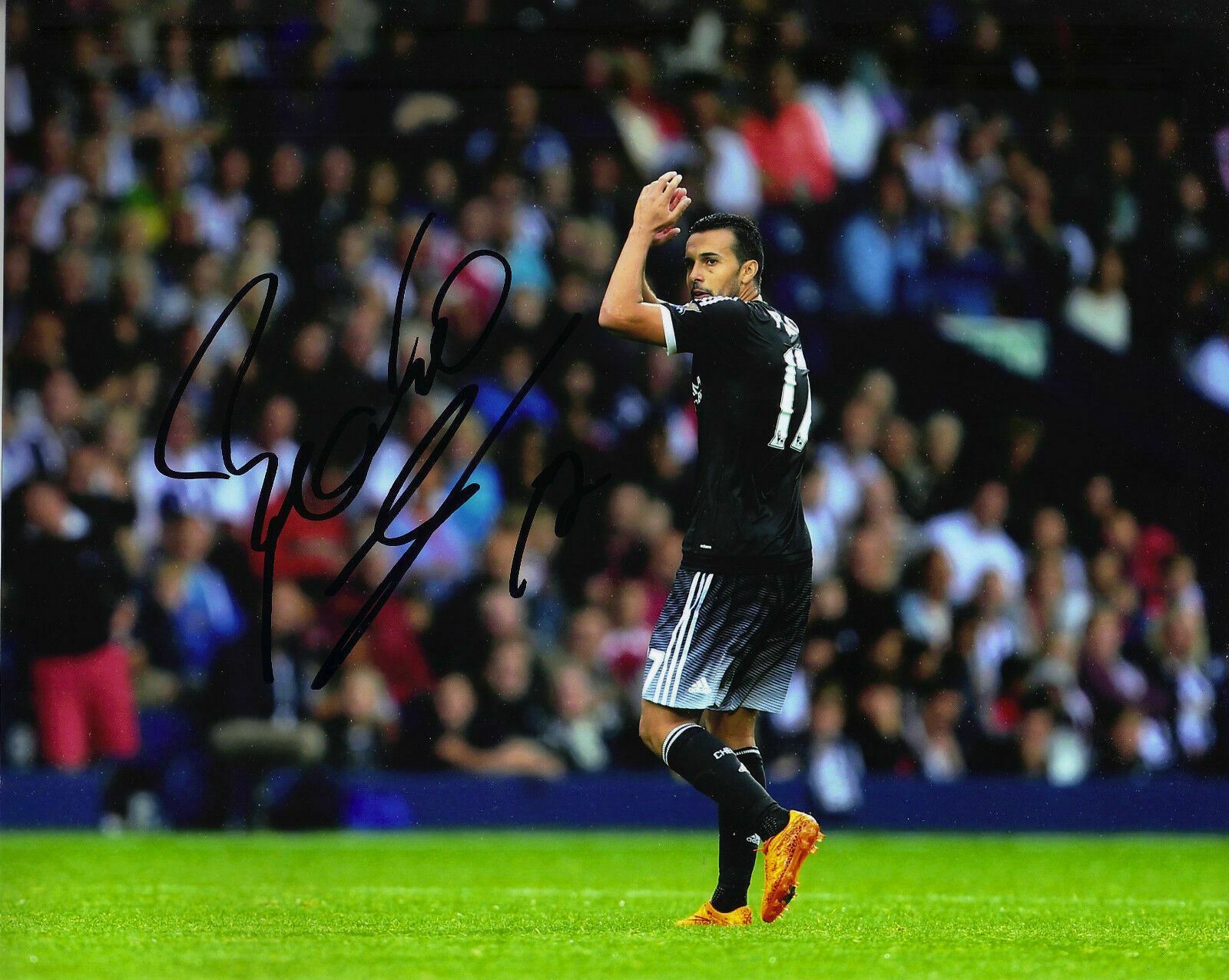 Pedro Genuine Hand Signed 10X8 Photo Poster painting Chelsea FC Autograph (D) COA