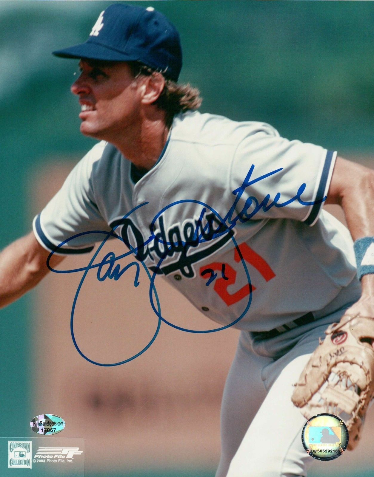 Jay Johnstone Signed 8X10 Photo Poster painting Autograph Los Angeles Dodgers Fielding Auto COA