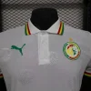 2024 Player Version Senegal White Special Soccer Jersey