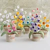 Crochet Flowers Potted Plants Decorative Crochet Ornaments DIY Gifts for Friends