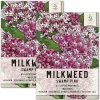Pink Swamp Milkweed Seeds for Planting Asclepias incarnata 100 Seeds Attracts Monarchs