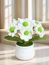 4Pcs Potted Plants Crochet Kit DIY Crochet Starter Kit Crochet Set for Beginners