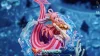 Ancient Weapon Poseidon Princess Shirahoshi - ONE PIECE Resin Statue - YouWu Studio