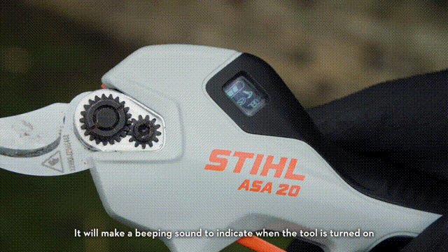 pic_011.gif