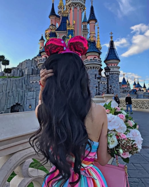 

Girl In Disneyland Castle – Paint By Numbers - 40*50CM, 501 Original