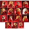 Love Dog Cat-Full Round Diamond Painting 30*30CM