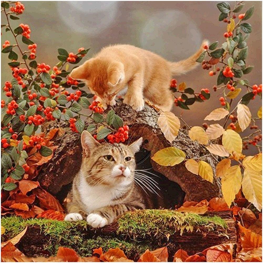 Full Round Diamond Painting Cats (30*30cm)