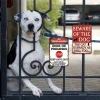 2pcs - Beware of Dog- Vintage Metal Signs(8*12Inch/12*16Inch)