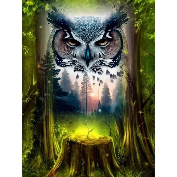 Owl 30*40CM(Canvas) Full Round Drill Diamond Painting gbfke