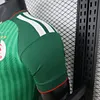 Joyfball 2026 Player Version Algeria National Team Away Stars Football Shirt（The player version jersey is a bit tight, please pay attention to the size selection）