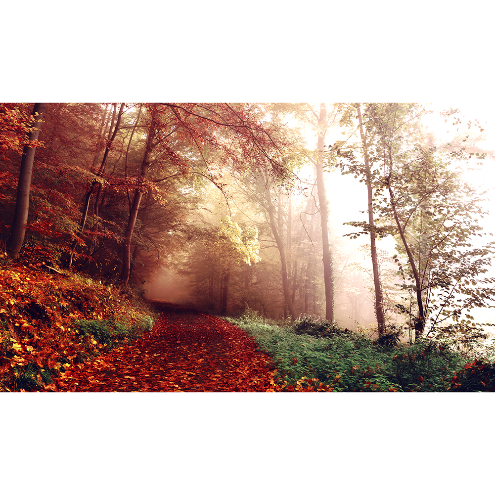 

Fallen Leaves Path - 1000 Pieces Jigsaw Puzzle, 501 Original