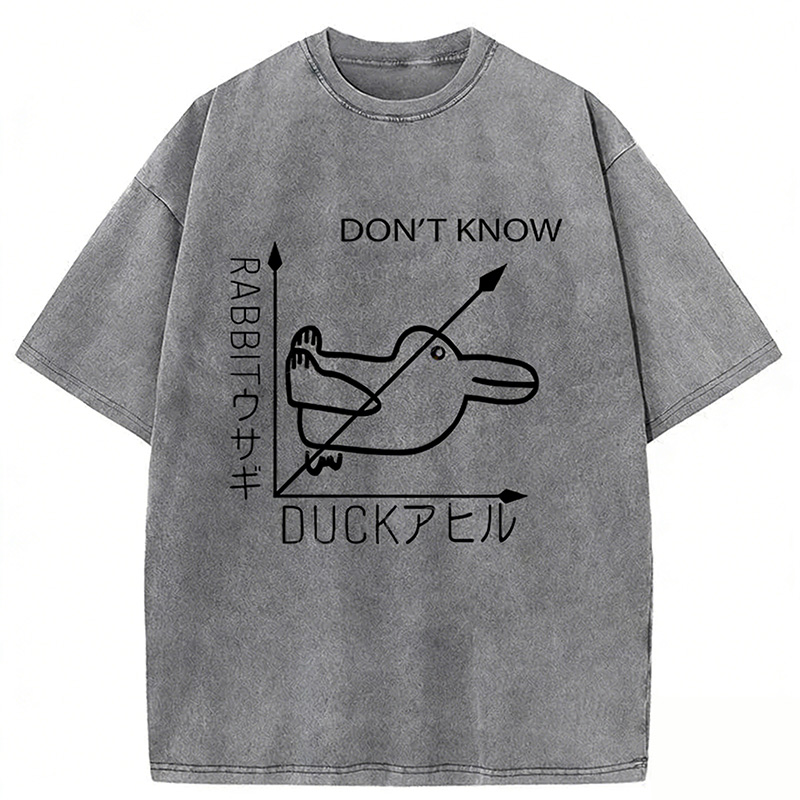 Rabbit Or Duck Washed T-shirt artswardrobe