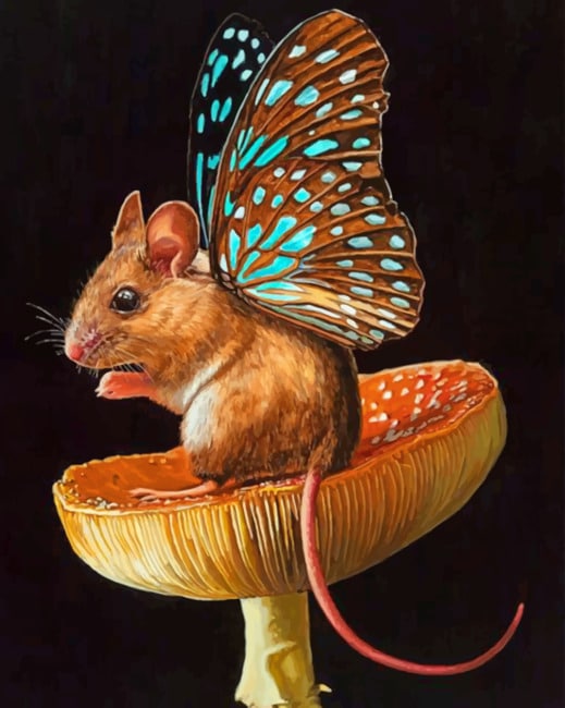 

Butterfly Mouse – Paint By Numbers - 40*50CM, 501 Original