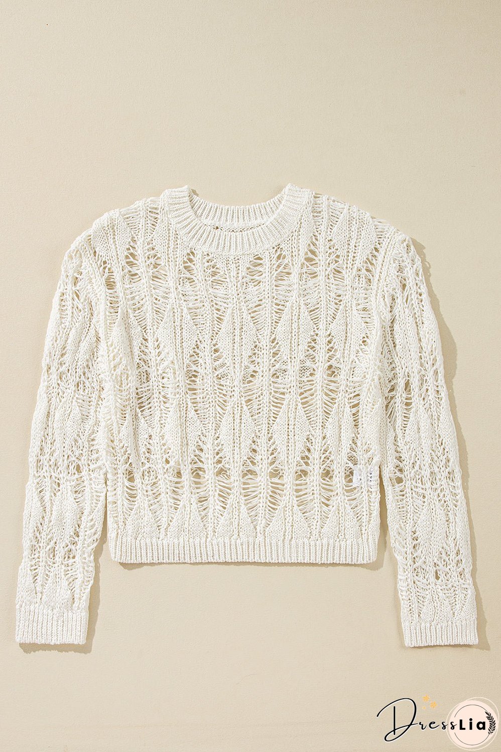 Cut Out Crochet Crew Neck Loose Fit Sweater