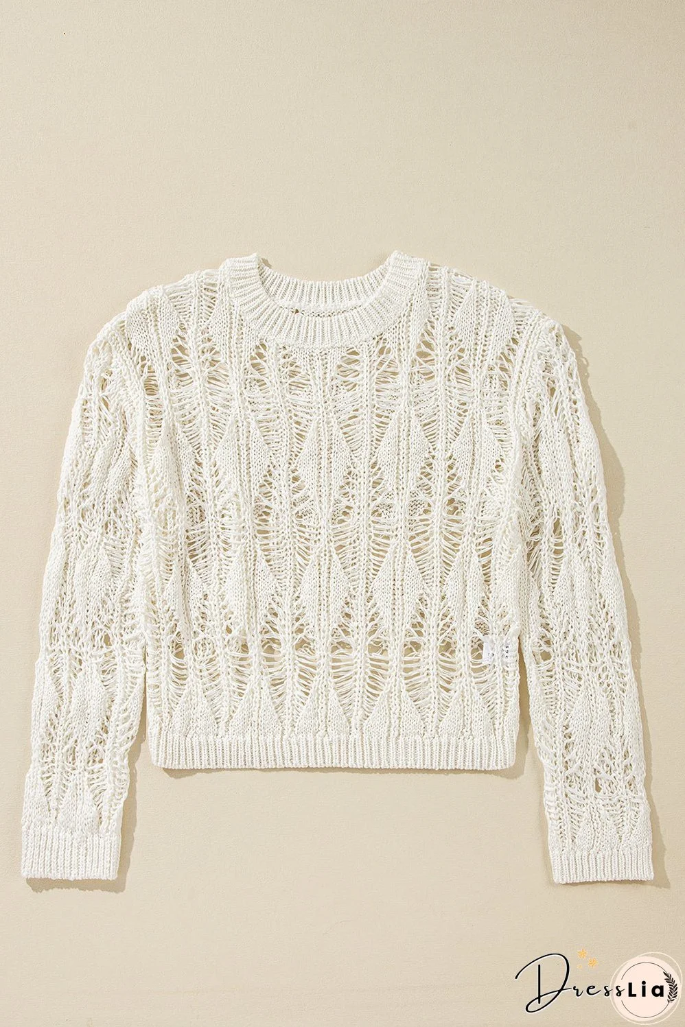Cut Out Crochet Crew Neck Loose Fit Sweater