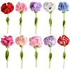 (Finished Product)Crochet Carnation Artificial Carnation Exquisite Aesthetic for Gift Home Office Decor