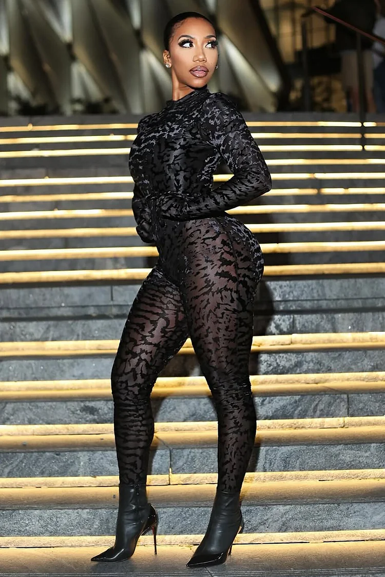 Flocking Pattern Long Sleeve Mesh Skinny Jumpsuit-Black