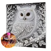 (Pre-Framed)White Owl-Special Shape Diamond Painting Kit(25x25cm)