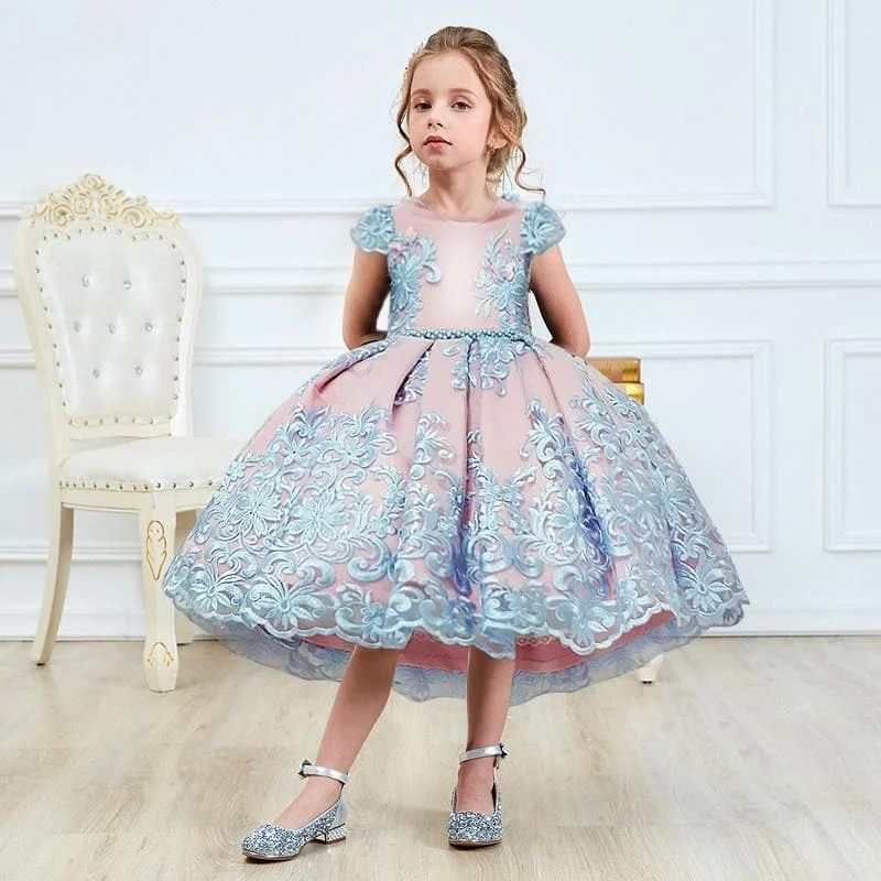 Tutu Lace Flower Embroidered Ball Gown Baby Girls Princess Kids Dress SP17423