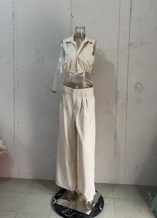 Toloer Toloer 2023 New Fashion Solid Color Lapel Sexy Sleeveless Top Casual Pants Suit-Outfit Ideas