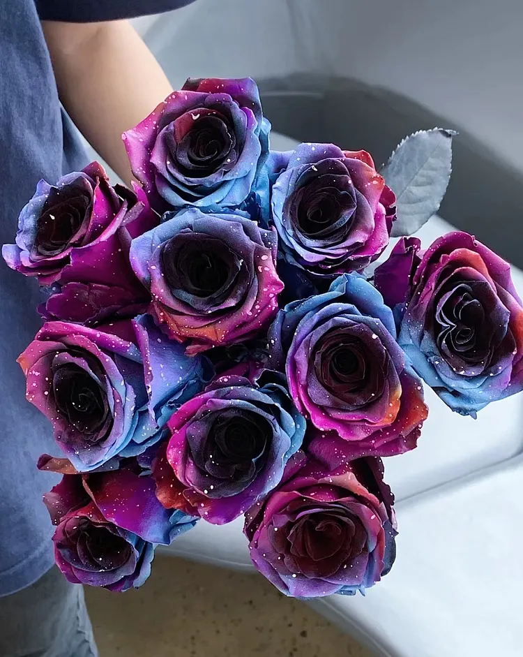 Starry Galaxy Roses Starry Sky Roses