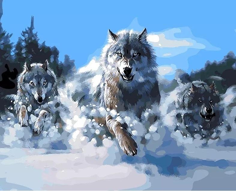 

Wolf Pack in Snow – Paint By Numbers - 40*50CM, 501 Original