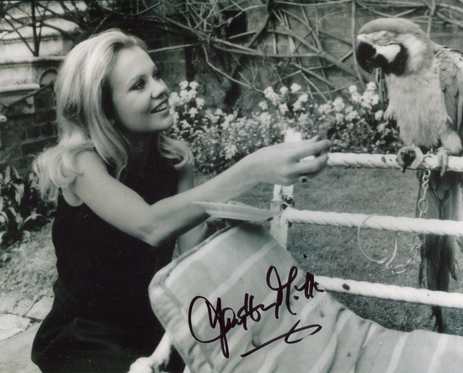 TV and Movie actress HAYLEY MILLS signed 8x10 Photo Poster painting IMAGE No2 UACC DEALER