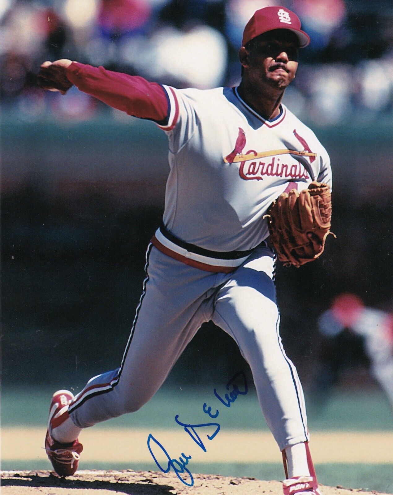 JOSE DELEON ST. LOUIS CARDINALS ACTION SIGNED 8x10