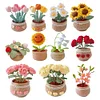DIY Flower Potted Crochet Kit with Video Tutorial Cute Plants Hand-Knitted Tool