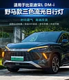 适用于24-25款比亚迪宋L DMI专用日行灯前雾灯框改装LED行车灯