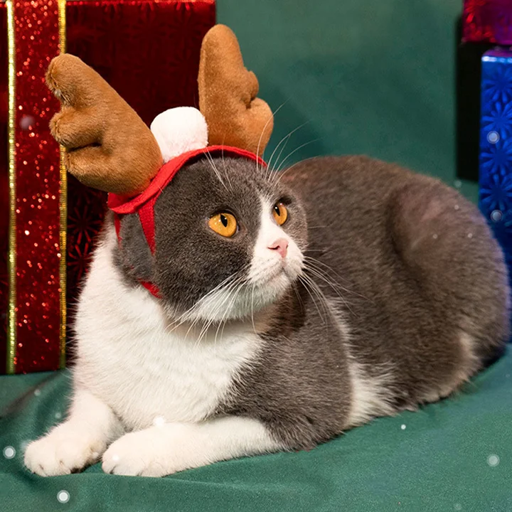 Merry Christmas - Cat Dog Hat, Deer Angle Headband, Plush Decorative Bandana, Hollow Out Pet Dress Cape, Festival 1