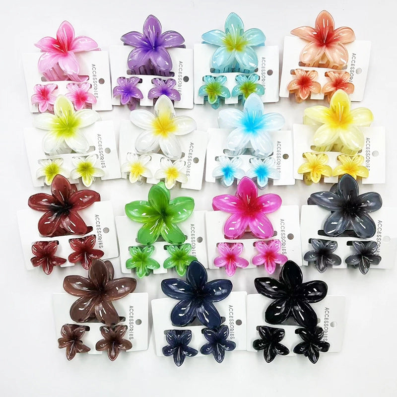 Vacation Modern Style Women’s Flower Resin Hair Claws
