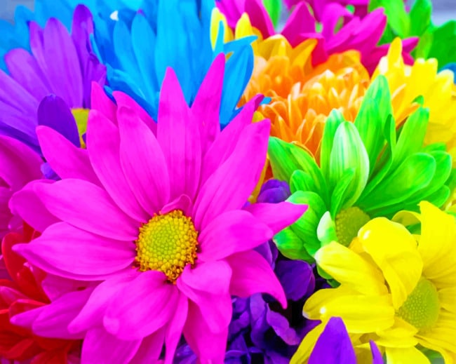 

Colorful Flowers – Plants Paint By Numbers - 40*50CM, 501 Original