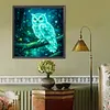 Diamond Painting -DIY Round Drill Fluorescent Owl(40x40cm)